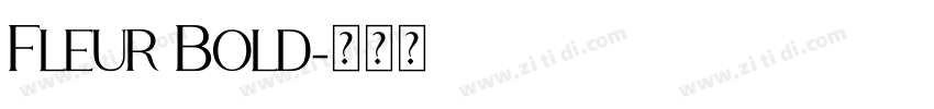 Fleur Bold字体转换